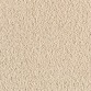 3004 Cotton